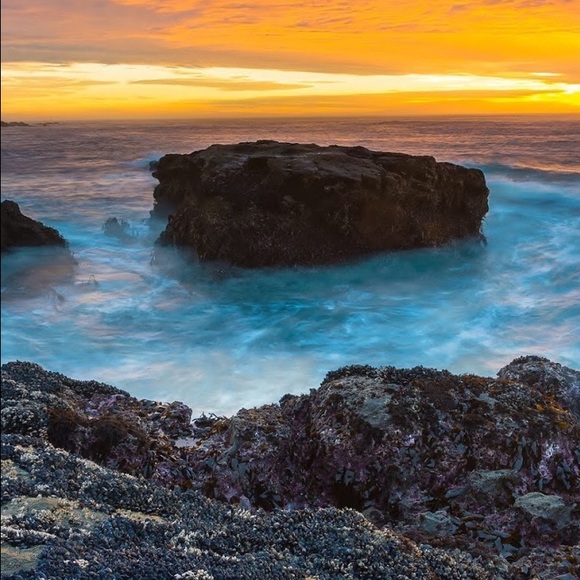 Meet your Posher, Christine - Picture 1 of 1