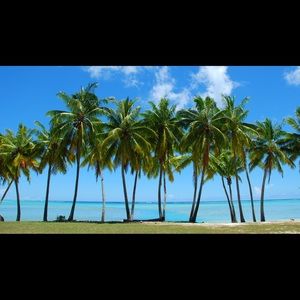 Meet your Posher, Darcy