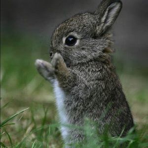 Meet your Posher, Joycelin