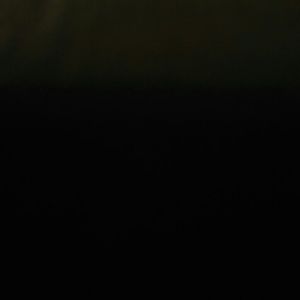 Meet your Posher, Frank