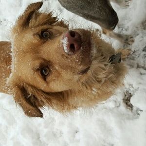 Meet your Posher, Marlae