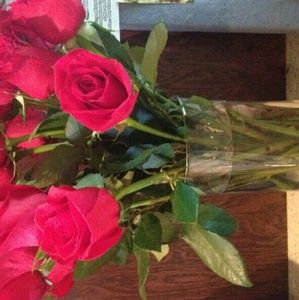 Meet your Posher, Janet