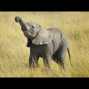 Meet your Posher, Chellsea