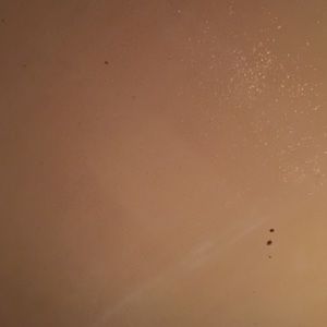 Meet your Posher, Mayra