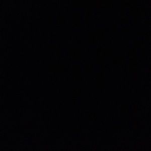 Meet your Posher, Gracie