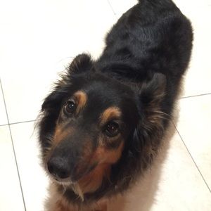 Meet your Posher, Misael