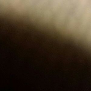 Meet your Posher, Sandy