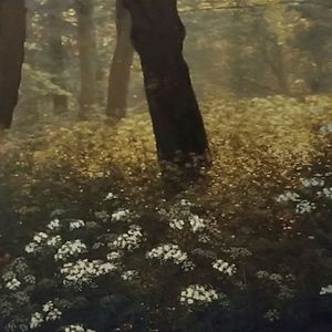 Bundle for @chipmunk96