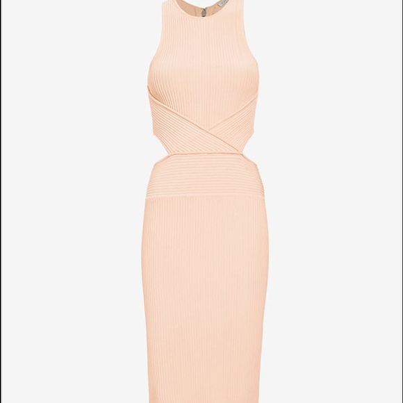 Ronny kobo blush dress