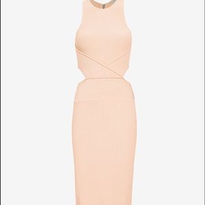 Ronny kobo blush dress