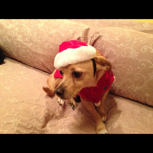 Meet your Posher - Picture 6 of 6