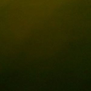 Meet your Posher, Demetrius