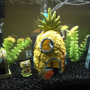 Meet your Posher, Demetrick