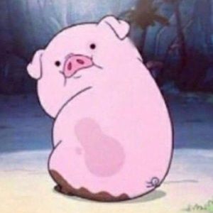 Meet your Posher, Molly