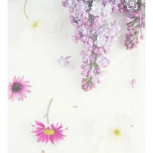 Meet your Posher, Raina