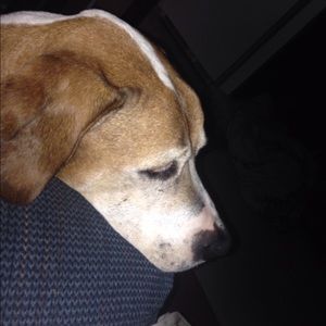 Meet your Posher, Shauna