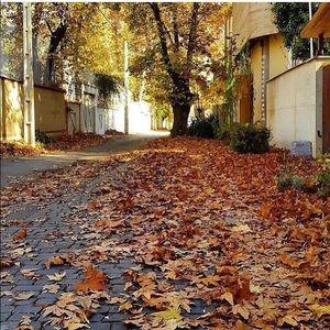 Meet your Posher, Ramin