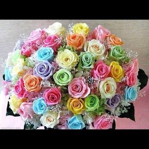 Meet your Posher, Wendy