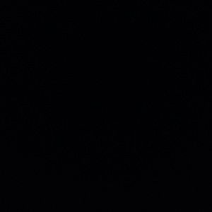 Meet your Posher, Dvdsve