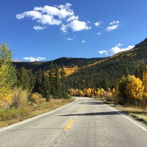 Meet your Posher, Carly