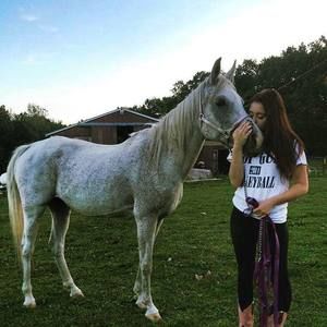 Meet your Posher, Paige