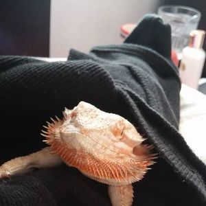 Meet your Posher, Jay