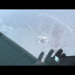 Meet your Posher, Tyler