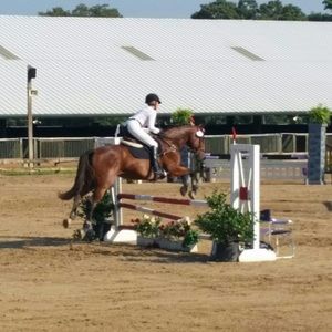 Meet your Posher, Hailey