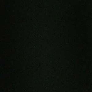 Meet your Posher, Rylie