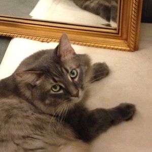 Meet your Posher, Doreen