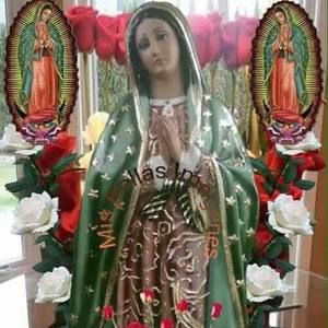 Meet your Posher, Lydia