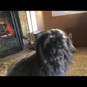 Meet your Posher, Felicia