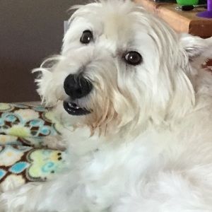 Meet your Posher, Gina