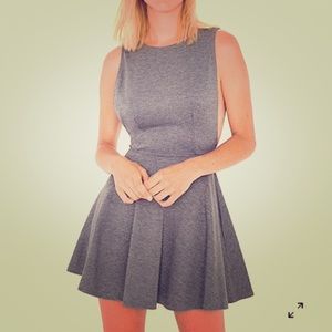 American Apparel Ponte Sleeveless Skater Dress