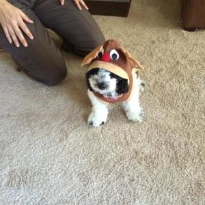 Meet your Posher, Tera