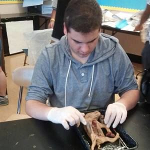 Meet your Posher, Xhoi