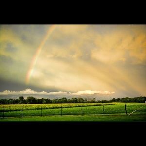 Meet your Posher, Cheyanne