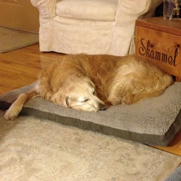 Meet your Posher, Katherine