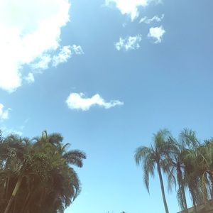 Meet your Posher, Tiff