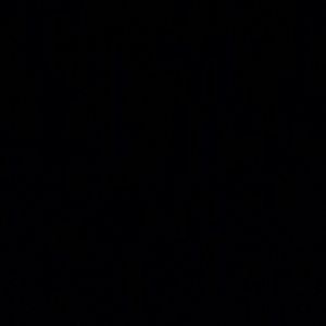 Meet your Posher, Emilee