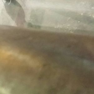 Meet your Posher, Omar