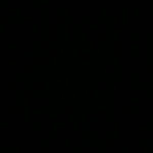 Meet your Posher, Peter