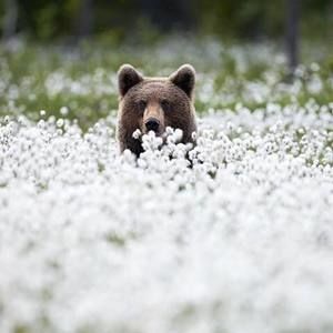 Meet your Posher, Summer