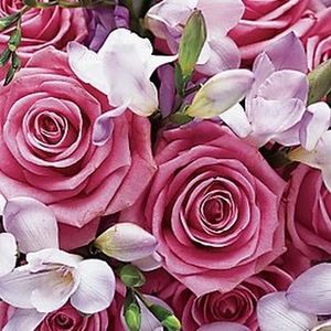 Meet your Posher, Patty