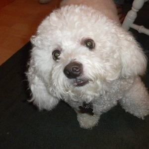 Meet your Posher, Cheryl