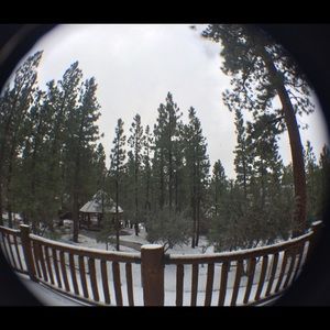 Meet your Posher, Suzanne