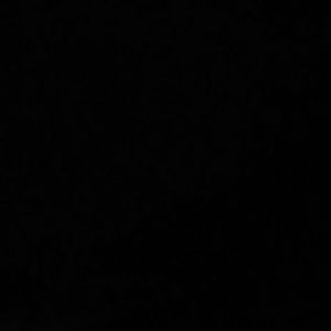 Meet your Posher, Shakira