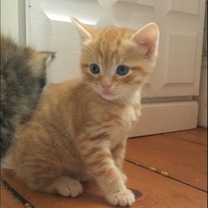 Meet your Posher, Lucia