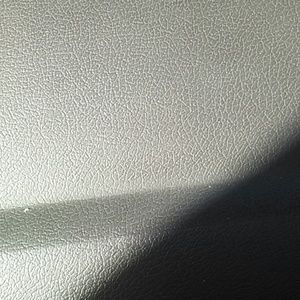 Meet your Posher, Natasha