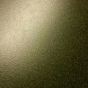 Meet your Posher, Alysia